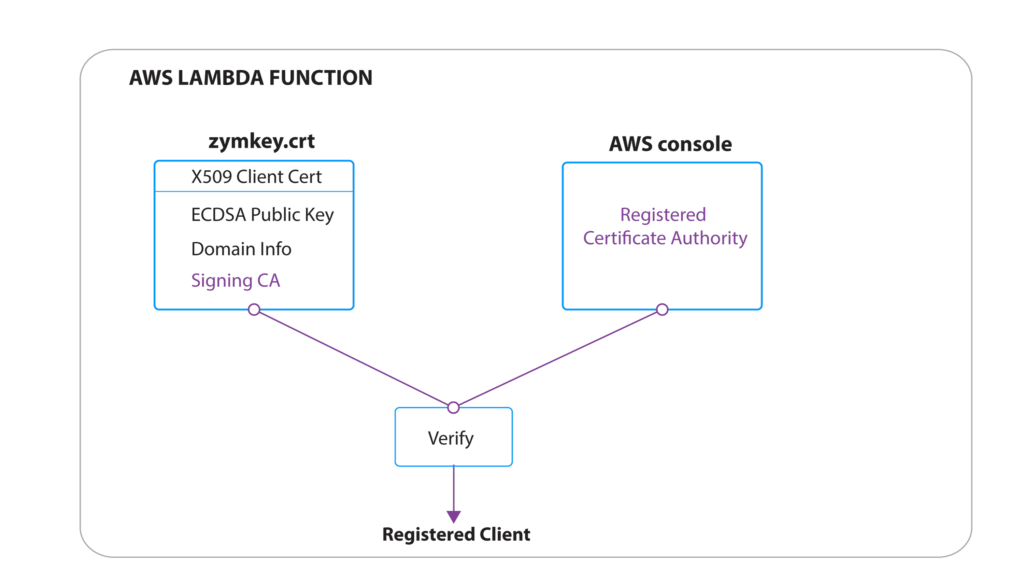 Just In Time Client Registration AWS